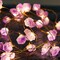 Natural Amethyst Raw Stones USB/Battery Powered 10FT 40 LEDs with Remote/Timer for Meditation Wedding Valentine's Day Present Bedroom Christmas Party Birthday Ornament